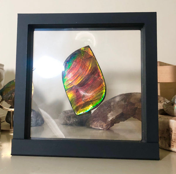 Super Flash  XL! 95x59x10 mm  TOP Grade Natural  Free Form . FFNT 133  Ammolite  Free Shipping! ナチュラル　ルース　アンモライト 送料無料！