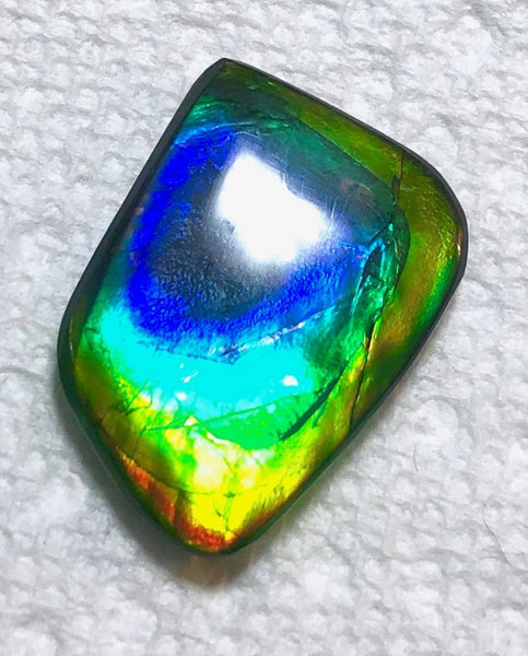 29.5 x 20 mm  Natural  Free Form . FFN 369 Ammolite  ナチュラル　ルース　アンモライト フリーフォーム