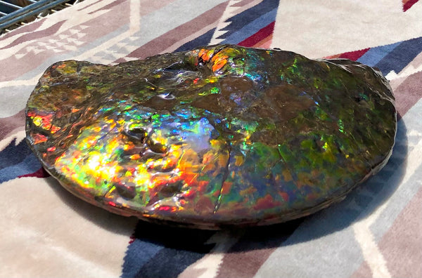 Make an offer! 価格交渉セール 90% Ammonite Fossil - Costatum Double sided アンモナイト化石　コスタータム　両面　アンモライトほぼ完全体 斑彩石AF-73 FREE SHIPPING