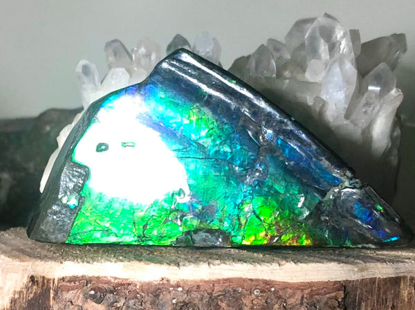 High Grade Natural Polished Collector Stone Double Sided（３sided) Specimen - CS-209　110mm 4.3"***ナチュラル アンモライト両面（3面）　コレクターストーン