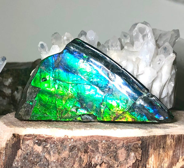 High Grade Natural Polished Collector Stone Double Sided（３sided) Specimen - CS-209　110mm 4.3"***ナチュラル アンモライト両面（3面）　コレクターストーン