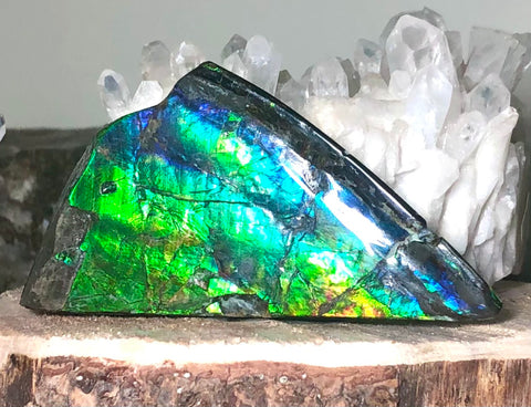 High Grade Natural Polished Collector Stone Double Sided（３sided) Specimen - CS-209　110mm 4.3"***ナチュラル アンモライト両面（3面）　コレクターストーン