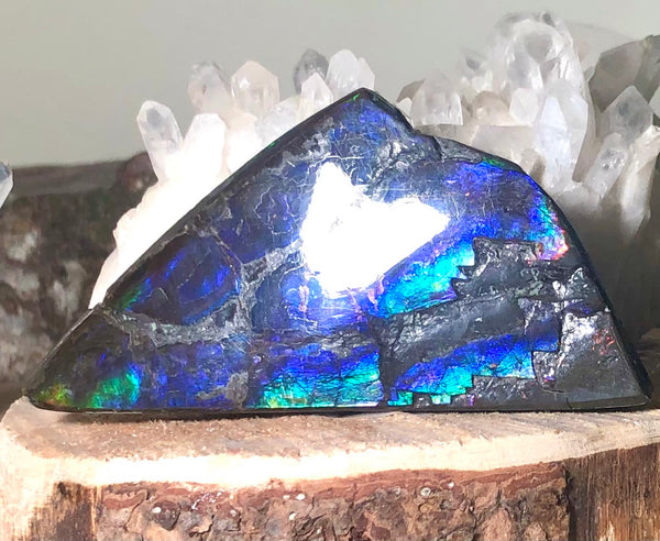 High Grade Natural Polished Collector Stone Double Sided（３sided) Specimen - CS-209　110mm 4.3"***ナチュラル アンモライト両面（3面）　コレクターストーン