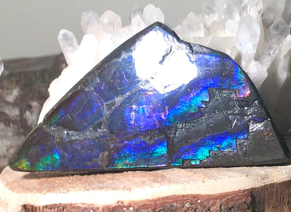 High Grade Natural Polished Collector Stone Double Sided（３sided) Specimen - CS-209　110mm 4.3"***ナチュラル アンモライト両面（3面）　コレクターストーン