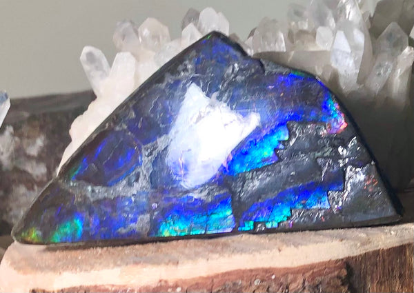 High Grade Natural Polished Collector Stone Double Sided（３sided) Specimen - CS-209　110mm 4.3"***ナチュラル アンモライト両面（3面）　コレクターストーン