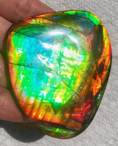 63 x 54  mm  - IMP-68 RARE  Natural Ammolite Double-Sided Rainbow Imperial! FREE SHIPPING! 両面iインペリアル！レアルース アンモライト