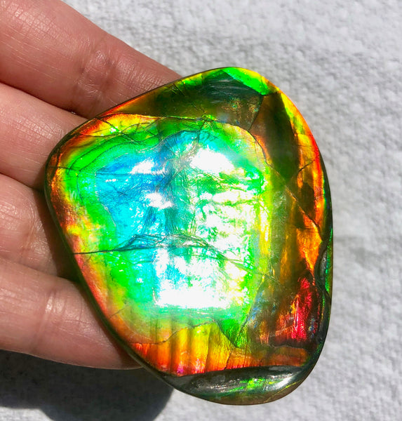 63 x 54  mm  - IMP-68 RARE  Natural Ammolite Double-Sided Rainbow Imperial! FREE SHIPPING! 両面iインペリアル！レアルース アンモライト