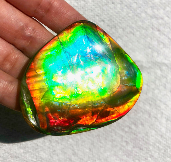 63 x 54  mm  - IMP-68 RARE  Natural Ammolite Double-Sided Rainbow Imperial! FREE SHIPPING! 両面iインペリアル！レアルース アンモライト