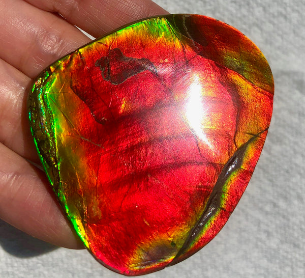 63 x 54  mm  - IMP-68 RARE  Natural Ammolite Double-Sided Rainbow Imperial! FREE SHIPPING! 両面iインペリアル！レアルース アンモライト