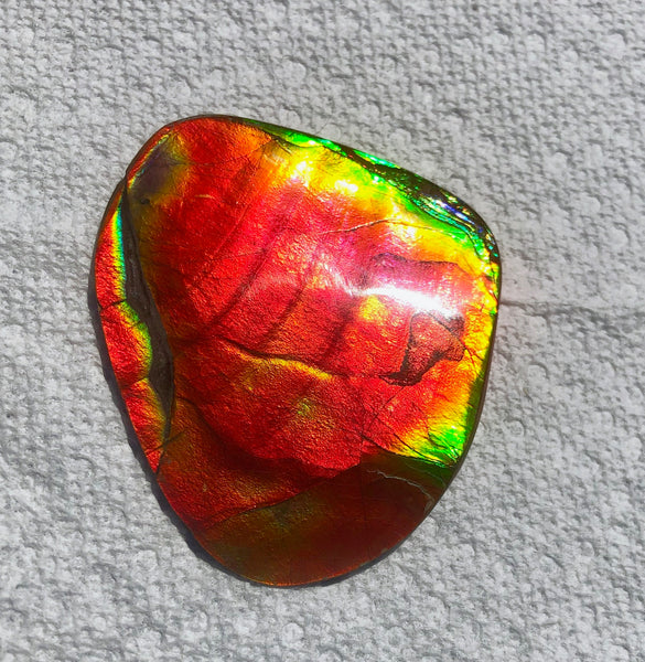 63 x 54  mm  - IMP-68 RARE  Natural Ammolite Double-Sided Rainbow Imperial! FREE SHIPPING! 両面iインペリアル！レアルース アンモライト