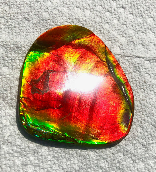 63 x 54  mm  - IMP-68 RARE  Natural Ammolite Double-Sided Rainbow Imperial! FREE SHIPPING! 両面iインペリアル！レアルース アンモライト