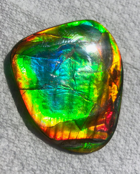 63 x 54  mm  - IMP-68 RARE  Natural Ammolite Double-Sided Rainbow Imperial! FREE SHIPPING! 両面iインペリアル！レアルース アンモライト