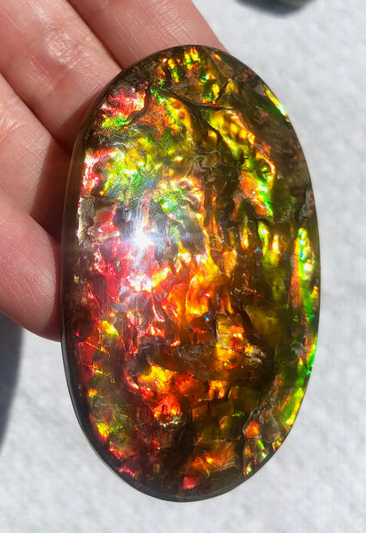 FFN-361-2 Ammolite Natural Polished Gemstone Suture gem 65 x40x5㎜ XL ナチュラルストーン縫合線ジェム