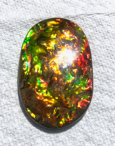 FFN-361-2 Ammolite Natural Polished Gemstone Suture gem 65 x40x5㎜ XL ナチュラルストーン縫合線ジェム
