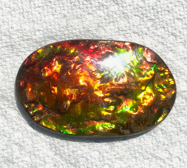 FFN-361-2 Ammolite Natural Polished Gemstone Suture gem 65 x40x5㎜ XL ナチュラルストーン縫合線ジェム