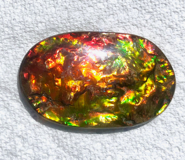 FFN-361-2 Ammolite Natural Polished Gemstone Suture gem 65 x40x5㎜ XL ナチュラルストーン縫合線ジェム