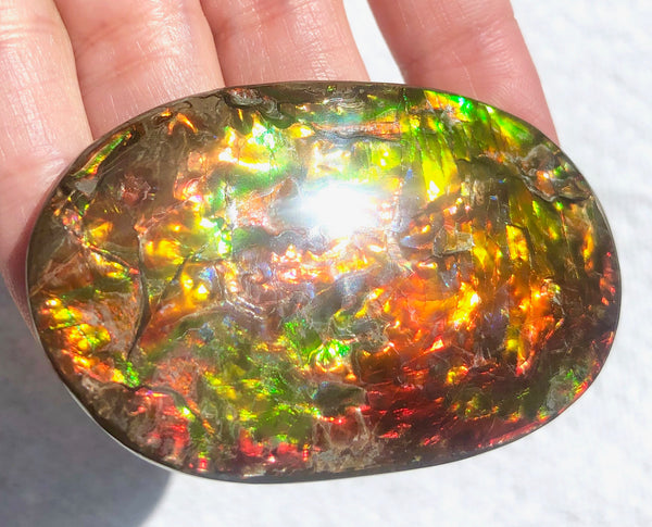 FFN-361-2 Ammolite Natural Polished Gemstone Suture gem 65 x40x5㎜ XL ナチュラルストーン縫合線ジェム