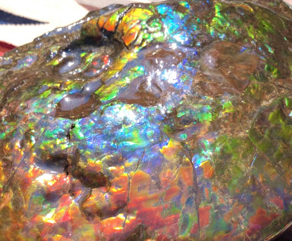 Make an offer! 価格交渉セール 90% Ammonite Fossil - Costatum Double sided アンモナイト化石　コスタータム　両面　アンモライトほぼ完全体 斑彩石AF-73 FREE SHIPPING