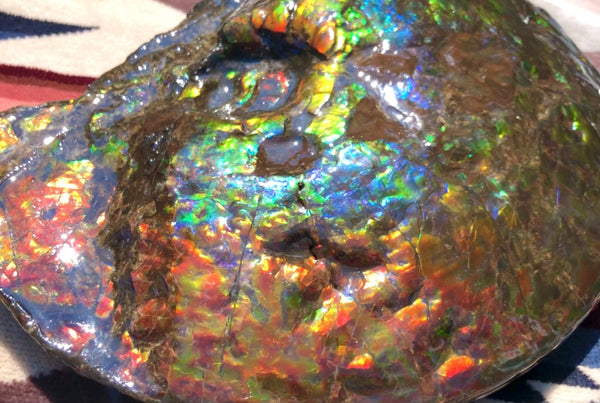 Make an offer! 価格交渉セール 90% Ammonite Fossil - Costatum Double sided アンモナイト化石　コスタータム　両面　アンモライトほぼ完全体 斑彩石AF-73 FREE SHIPPING