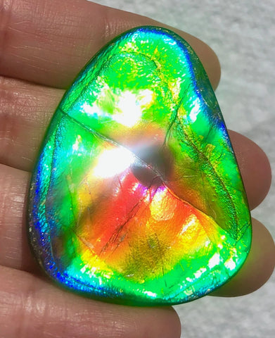 45x35 mm  Natural  Free Form . FFN 370  Ammolite  Free Shipping! ナチュラル　ルース　アンモライト 送料無料！