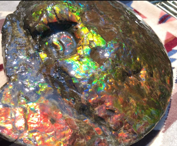 Make an offer! 価格交渉セール 90% Ammonite Fossil - Costatum Double sided アンモナイト化石　コスタータム　両面　アンモライトほぼ完全体 斑彩石AF-73 FREE SHIPPING