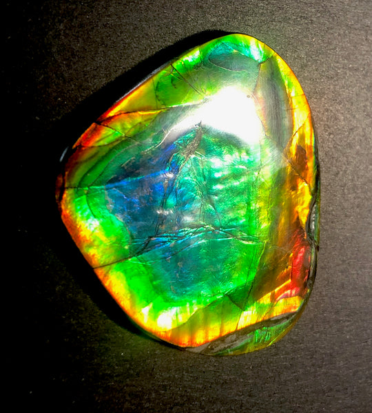 63 x 54  mm  - IMP-68 RARE  Natural Ammolite Double-Sided Rainbow Imperial! FREE SHIPPING! 両面iインペリアル！レアルース アンモライト