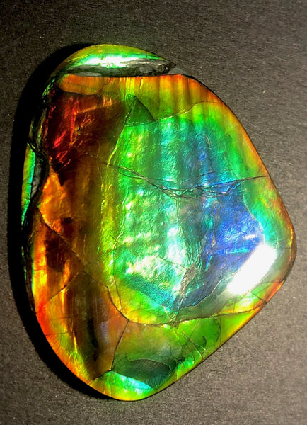 63 x 54  mm  - IMP-68 RARE  Natural Ammolite Double-Sided Rainbow Imperial! FREE SHIPPING! 両面iインペリアル！レアルース アンモライト