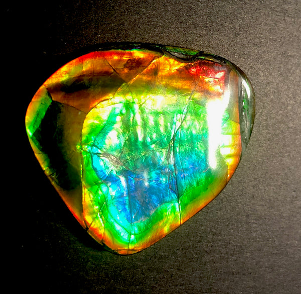 63 x 54  mm  - IMP-68 RARE  Natural Ammolite Double-Sided Rainbow Imperial! FREE SHIPPING! 両面iインペリアル！レアルース アンモライト