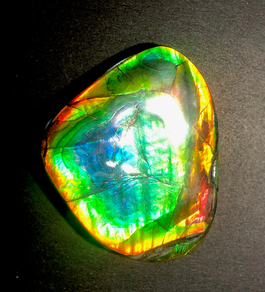 63 x 54  mm  - IMP-68 RARE  Natural Ammolite Double-Sided Rainbow Imperial! FREE SHIPPING! 両面iインペリアル！レアルース アンモライト