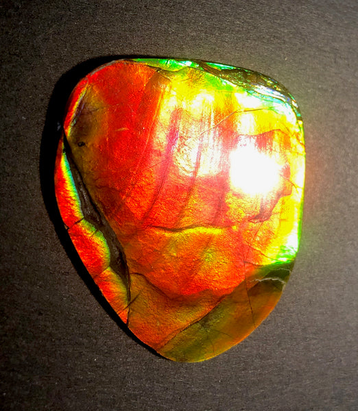 63 x 54  mm  - IMP-68 RARE  Natural Ammolite Double-Sided Rainbow Imperial! FREE SHIPPING! 両面iインペリアル！レアルース アンモライト