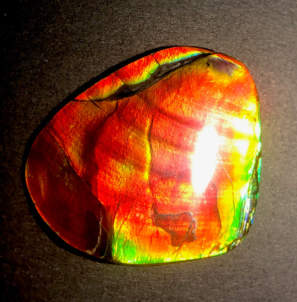 63 x 54  mm  - IMP-68 RARE  Natural Ammolite Double-Sided Rainbow Imperial! FREE SHIPPING! 両面iインペリアル！レアルース アンモライト
