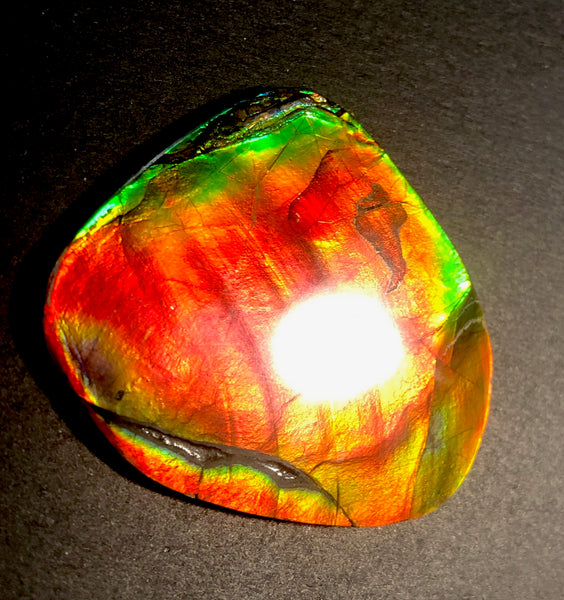 63 x 54  mm  - IMP-68 RARE  Natural Ammolite Double-Sided Rainbow Imperial! FREE SHIPPING! 両面iインペリアル！レアルース アンモライト