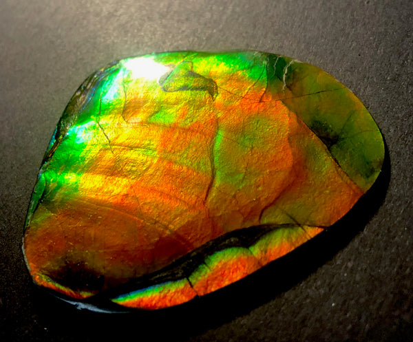 63 x 54  mm  - IMP-68 RARE  Natural Ammolite Double-Sided Rainbow Imperial! FREE SHIPPING! 両面iインペリアル！レアルース アンモライト