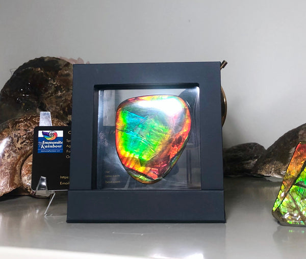 63 x 54  mm  - IMP-68 RARE  Natural Ammolite Double-Sided Rainbow Imperial! FREE SHIPPING! 両面iインペリアル！レアルース アンモライト