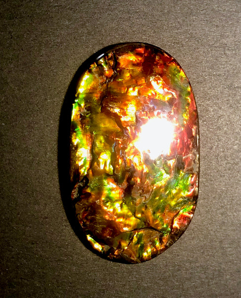 FFN-361-2 Ammolite Natural Polished Gemstone Suture gem 65 x40x5㎜ XL ナチュラルストーン縫合線ジェム