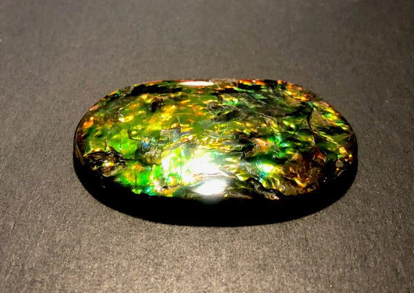 FFN-361-2 Ammolite Natural Polished Gemstone Suture gem 65 x40x5㎜ XL ナチュラルストーン縫合線ジェム