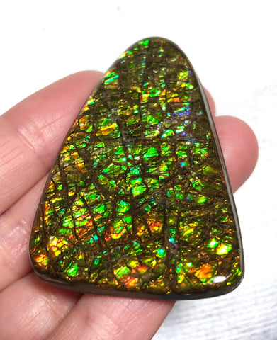 51x 33  mm Coated Free Form Dragonskin - FFC95   - アンモライト　ルース　