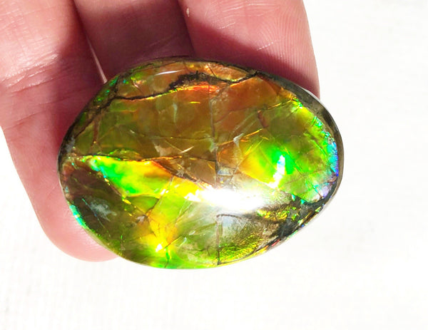 34x25mm    Natural  Free Form . FFN361  Ammolite  ナチュラル　ルース　アンモライト フリーフォーム