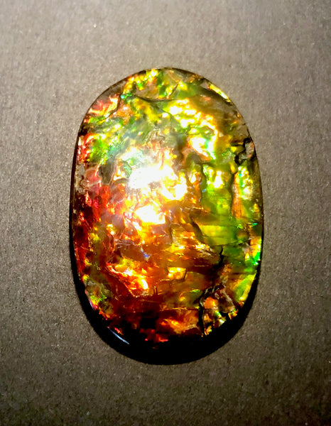 FFN-361-2 Ammolite Natural Polished Gemstone Suture gem 65 x40x5㎜ XL ナチュラルストーン縫合線ジェム