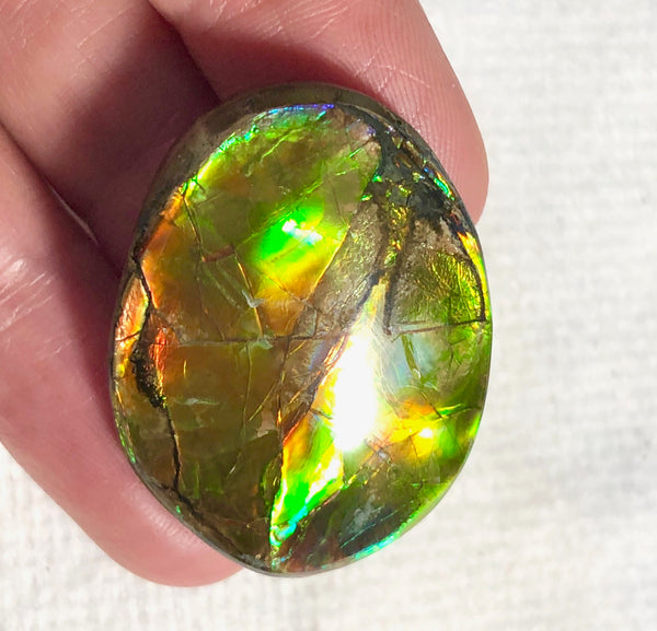 34x25mm    Natural  Free Form . FFN361  Ammolite  ナチュラル　ルース　アンモライト フリーフォーム