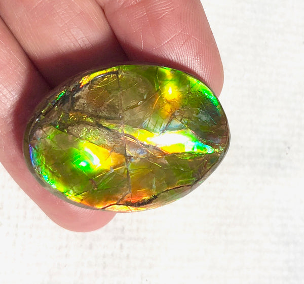 34x25mm    Natural  Free Form . FFN361  Ammolite  ナチュラル　ルース　アンモライト フリーフォーム