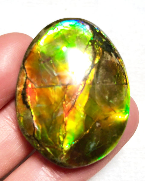 34x25mm    Natural  Free Form . FFN361  Ammolite  ナチュラル　ルース　アンモライト フリーフォーム