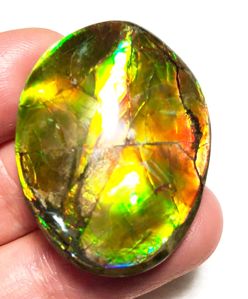 34x25mm    Natural  Free Form . FFN361  Ammolite  ナチュラル　ルース　アンモライト フリーフォーム