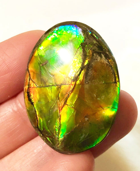 34x25mm    Natural  Free Form . FFN361  Ammolite  ナチュラル　ルース　アンモライト フリーフォーム