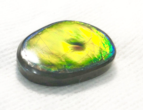 33 x 24x 5 mm  Natural  Free Form . FFNT 122 Super bright with a nipplite! Ammolite  ナチュラル　ルース　アンモライト フリーフォーム