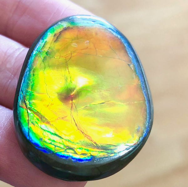 33 x 24x 5 mm  Natural  Free Form . FFNT 122 Super bright with a nipplite! Ammolite  ナチュラル　ルース　アンモライト フリーフォーム