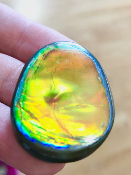 33 x 24x 5 mm  Natural  Free Form . FFNT 122 Super bright with a nipplite! Ammolite  ナチュラル　ルース　アンモライト フリーフォーム