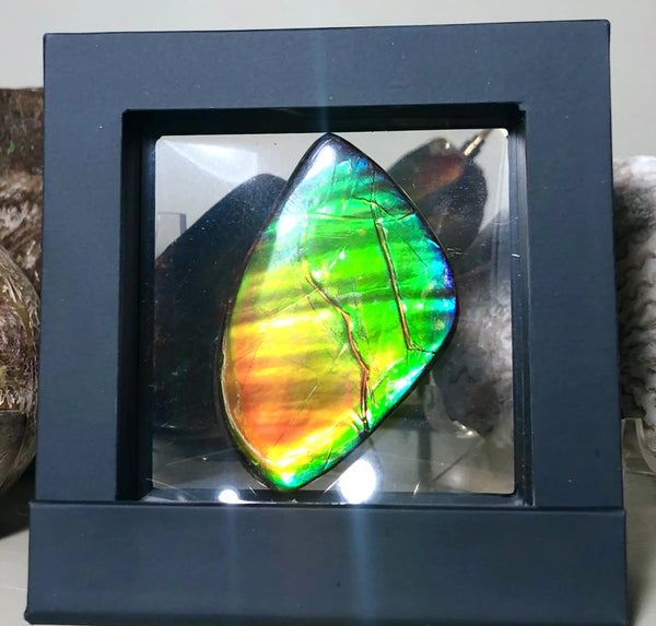 Copy of LARGE Rainbow colors  60x25 mm  Top Grade Natural  Free Form . FFNT 141 Ammolite  レインボーカラー！ナチュラル　ルース　アンモライト ケース付！