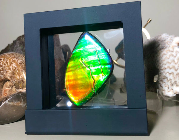Copy of LARGE Rainbow colors  60x25 mm  Top Grade Natural  Free Form . FFNT 141 Ammolite  レインボーカラー！ナチュラル　ルース　アンモライト ケース付！