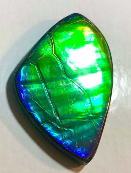 Copy of LARGE Rainbow colors  60x25 mm  Top Grade Natural  Free Form . FFNT 141 Ammolite  レインボーカラー！ナチュラル　ルース　アンモライト ケース付！